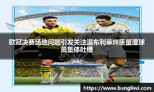 365WM完美体育官网