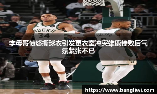 365WM完美体育官网