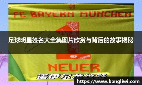 365WM完美体育官网