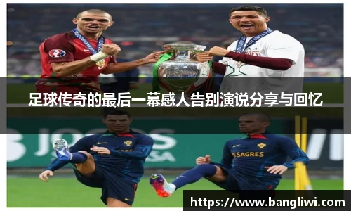 365WM完美体育官方app